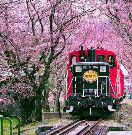  Du ngoạn thiên nhiên Kyoto với chuyến tàu Torokko