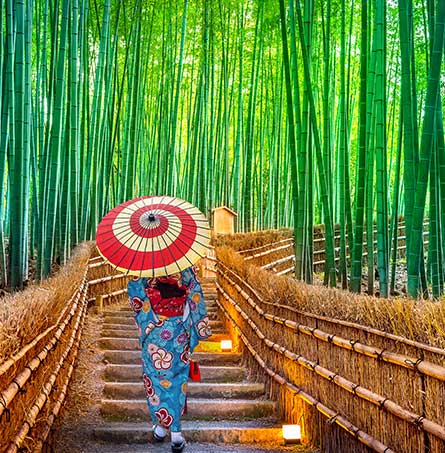 Rừng tre Arashiyama