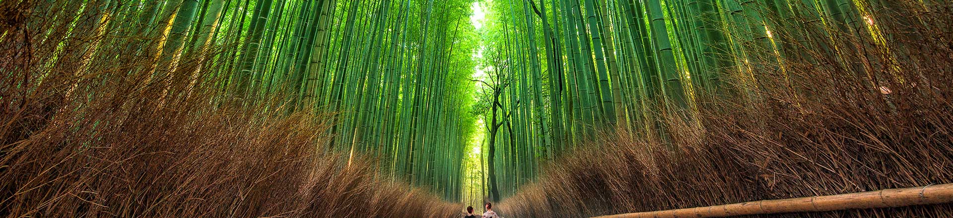 Khu vực Sagano - Arashiyama