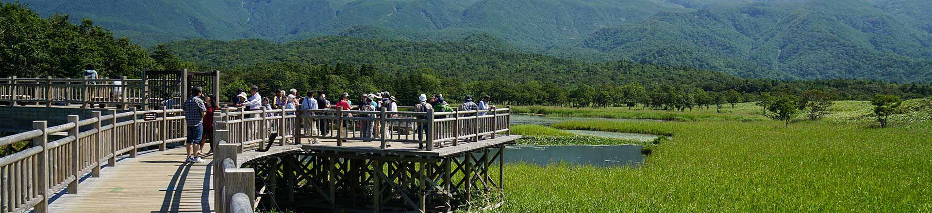 Hình minh họa cho khu vực tại Fukuoka