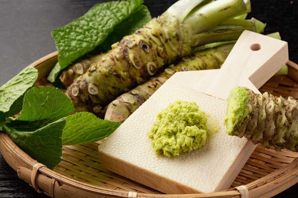Wasabi món quà nước trong của Nhật Bản SONGHANTOURIST