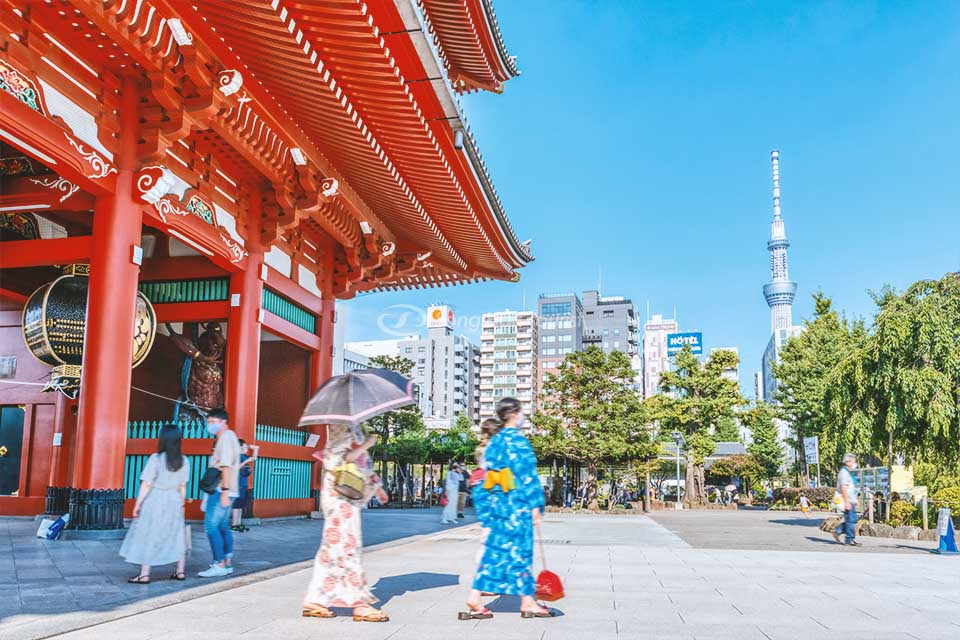 Hoa anh đào và tháp Tokyo Skytree | SONGHANTOURIST