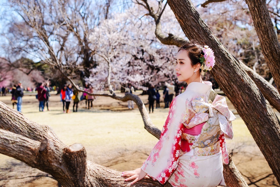 Phục trang Kimono và mùa Hoa Anh Đào | SONGHANTOURIST