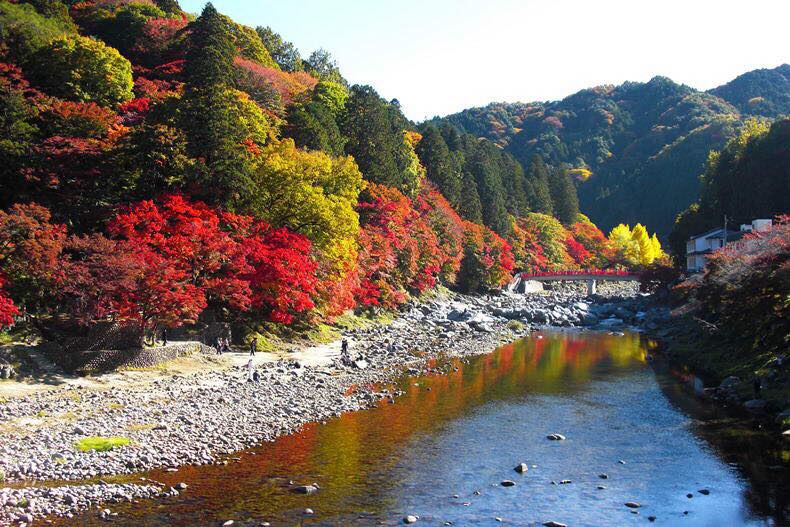 Ngắm lá đỏ ở thung lũng Korankei | SONGHANTOURIST