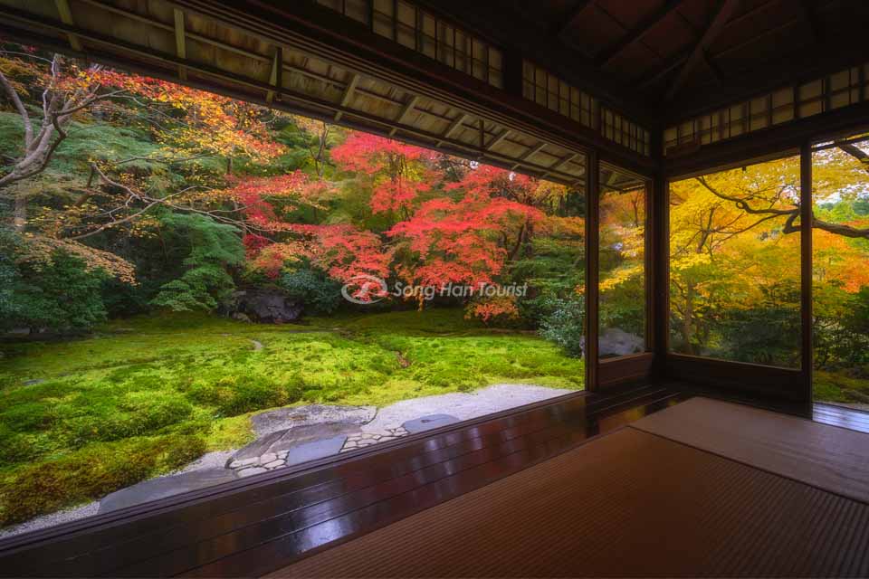Khu vườn Nhật Bản mùa thu yên tĩnh
