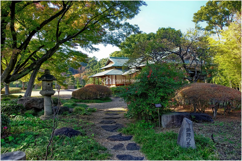 Khu vườn phía Đông hoàng cung Tokyo yên tĩnh, thanh bình.