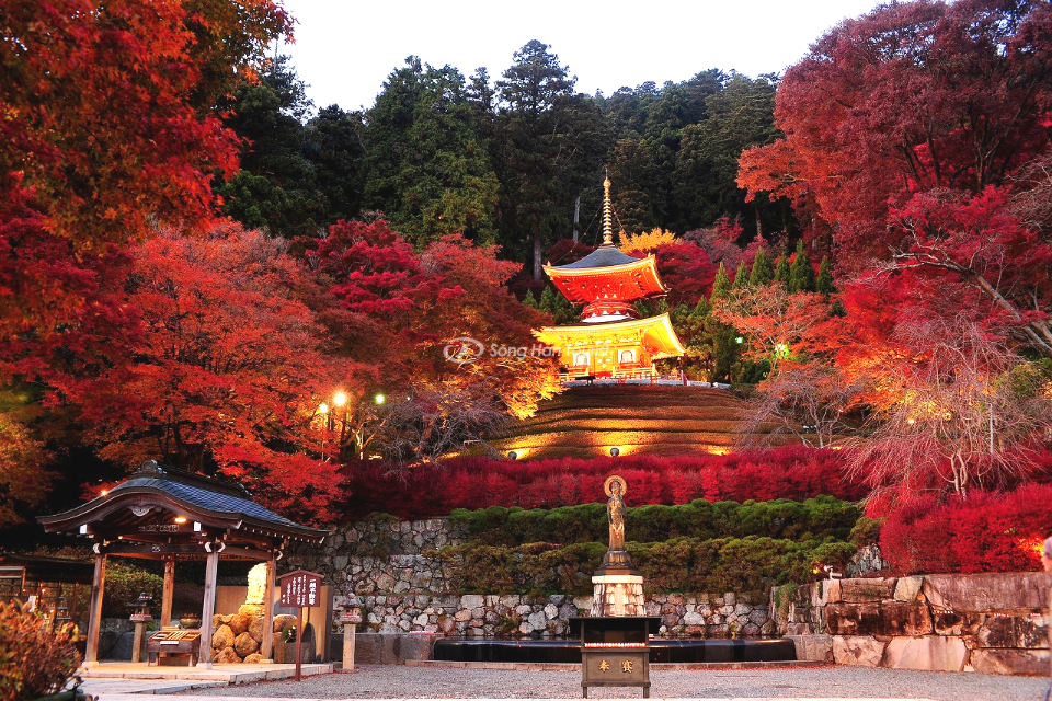 Chùa Katsuo-ji là địa điểm ngắm lá đỏ đẹp nhất ở Osaka.