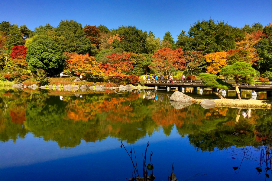 Showa Kinen với khung cảnh thiên nhiên mùa thu tuyệt đẹp