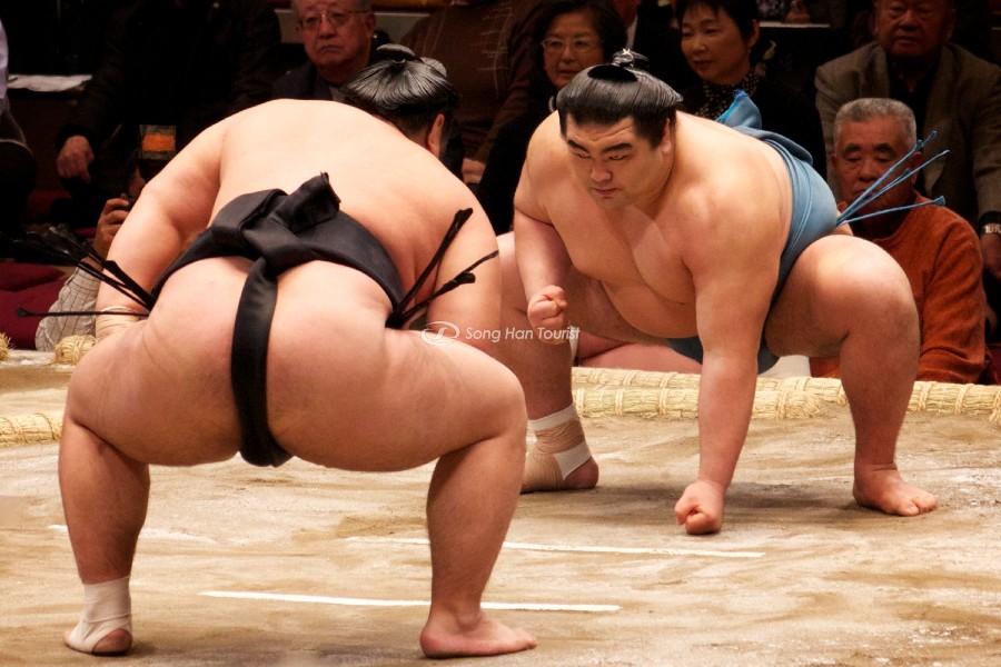 Sumo Nhật Bản là biểu tượng văn hóa tinh thần của người Nhật.