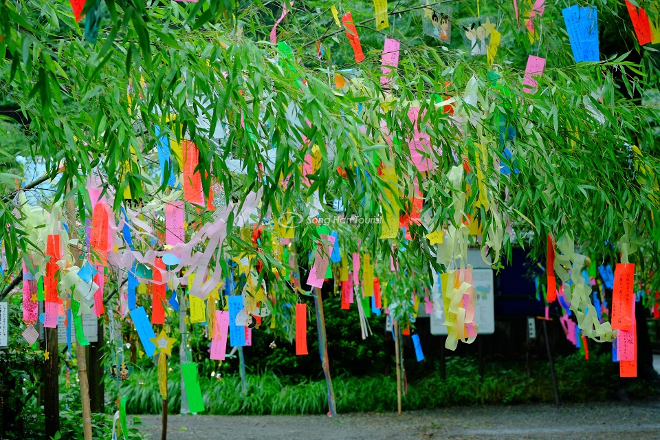 Lễ hội mùa hè Nhật Bản rộn ràng, màu sắc và vô cùng náo nhiệt.