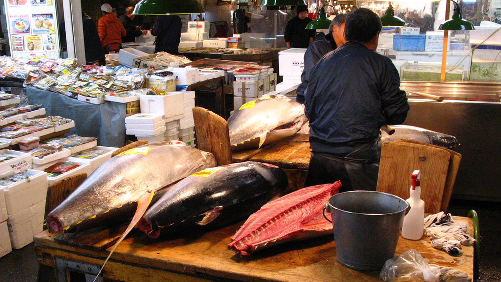 Chợ cá Kagoshima Nhật Bản