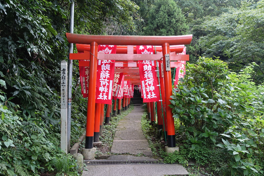 Cánh cổng torii truyền thống dẫn lối vào đền 