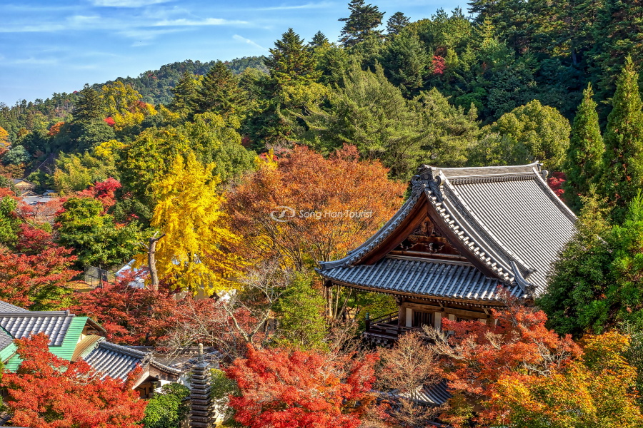 Cảnh đẹp mùa thu tại chùa Daishoin