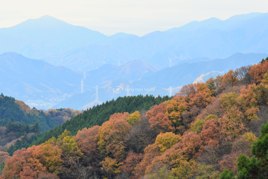 Cảnh đẹp tuyệt vời tại Takao vào mùa thu 