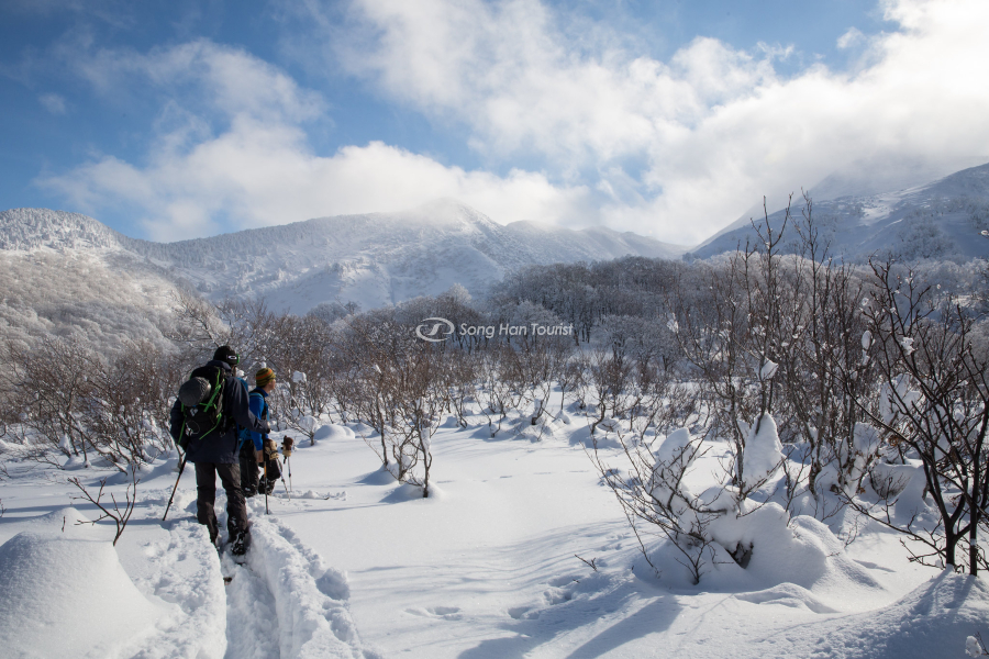 Cảnh đẹp tuyệt vời vào mùa đông ở Aomori 