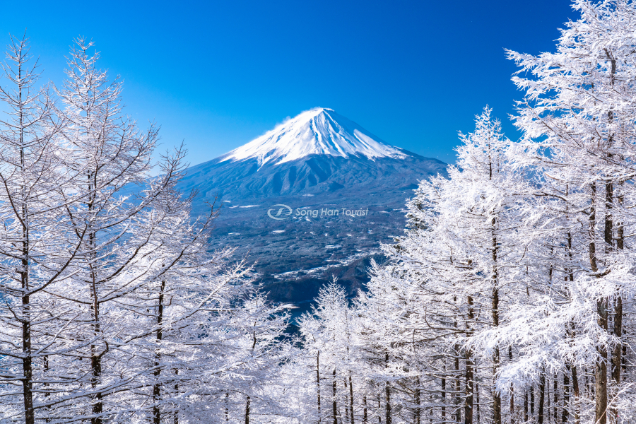 Cảnh tượng núi Phú Sĩ vào mùa đông