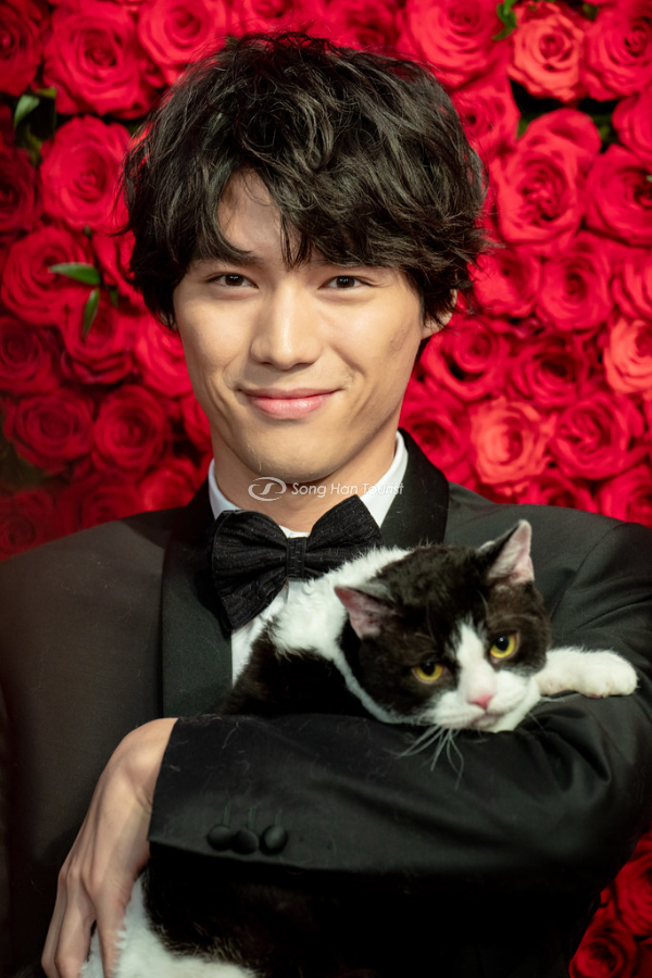 Chàng diễn viên chính cùng chú mèo Nana