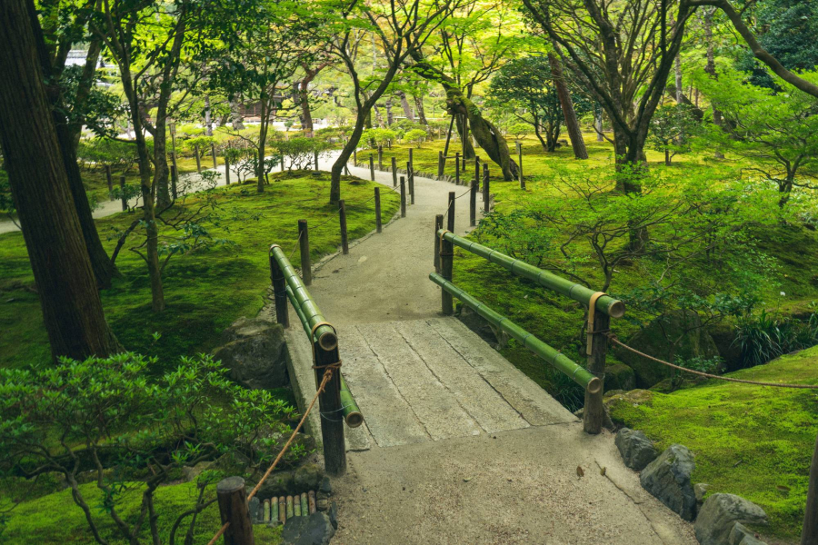 Ginkakuji - Chùa bạc - được xây dựng vào cuối thế kỷ 15 theo phong cách chùa Vàng. Mặc dù lấy cái tên này tuy nhiên ngôi chùa này lại không được bao phủ bằng vàng mà khu phức hợp này đã trở nên nổi tiếng với khu vườn Nhật Bản, đón đến 5 triệu lượt khách mỗi năm. (Nguồn:GABRIELE BORTOLOTTI)