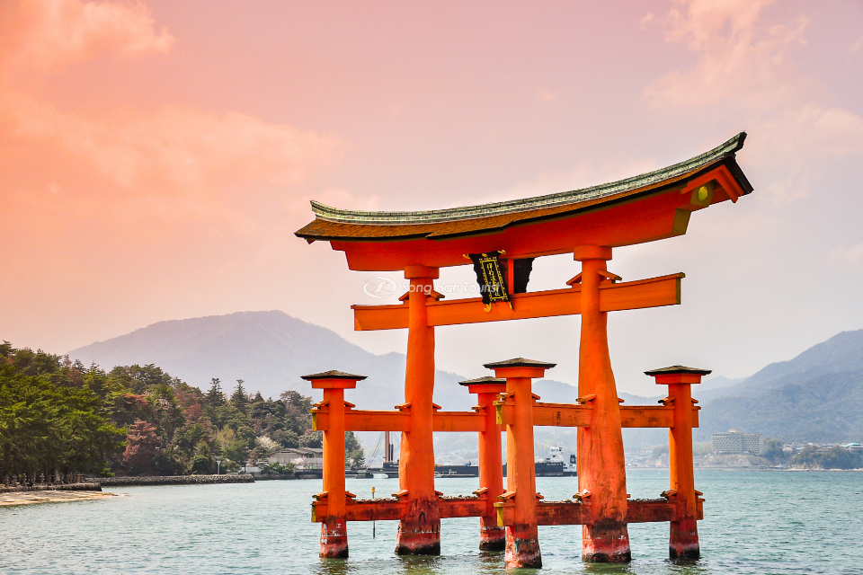 Cánh cổng Torii huyền thoại của nước Nhật 