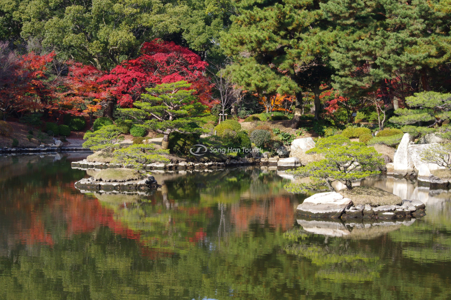 Dành thời gian tham quan và ngắm nhìn cảnh đẹp Nhật Bản