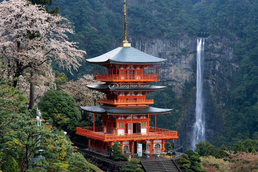 Đền thờ Shinto - Biểu tượng văn hóa nước Nhật 