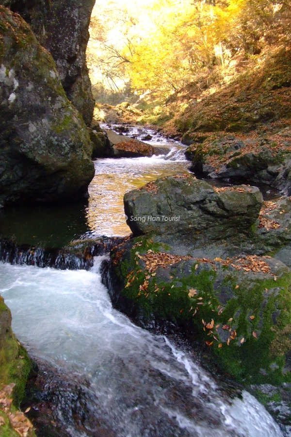  Dòng thác chảy mạnh mẽ tại thung lũng Taishaku 
