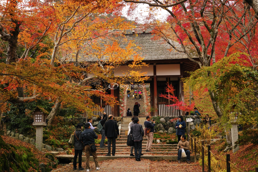 Du khách tham quan địa điểm du lịch Nhật Bản mùa thu 