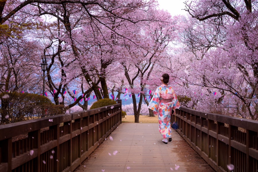 Du lịch Tokyo vào từng mùa mang những nét riêng biệt