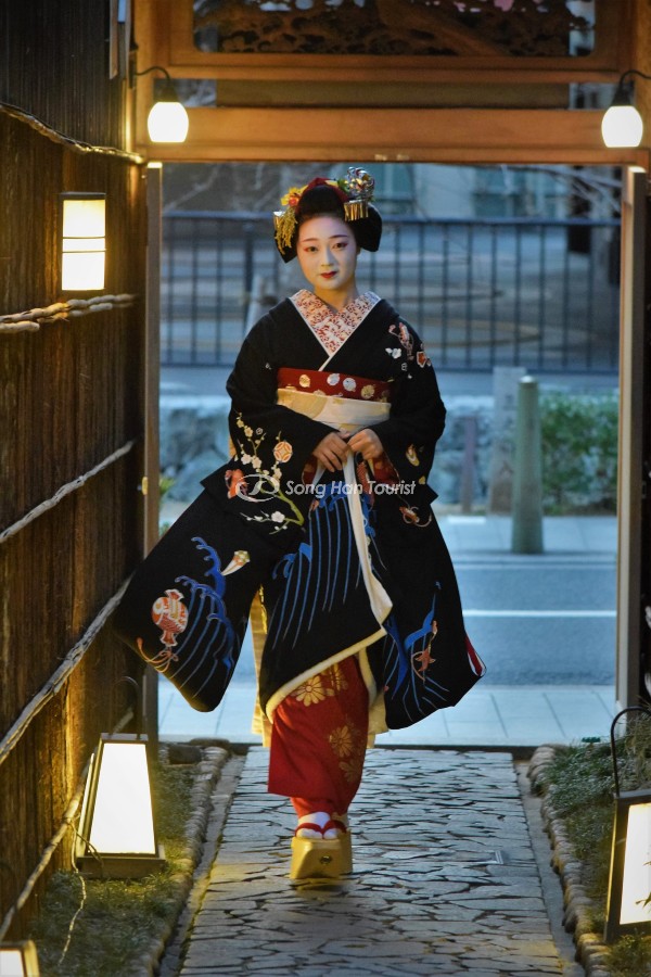 Nhiều du khách may mắn bắt gặp Geisha trên đường (