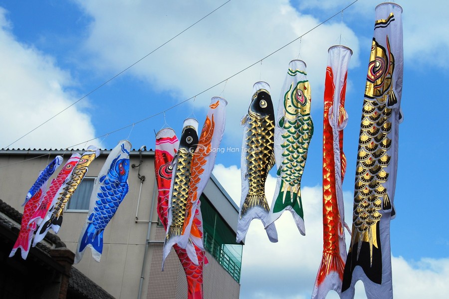 Gia đình có con trai thường treo cờ cá chép đầy màu sắc trước cửa nhà trong dịp lễ hội
