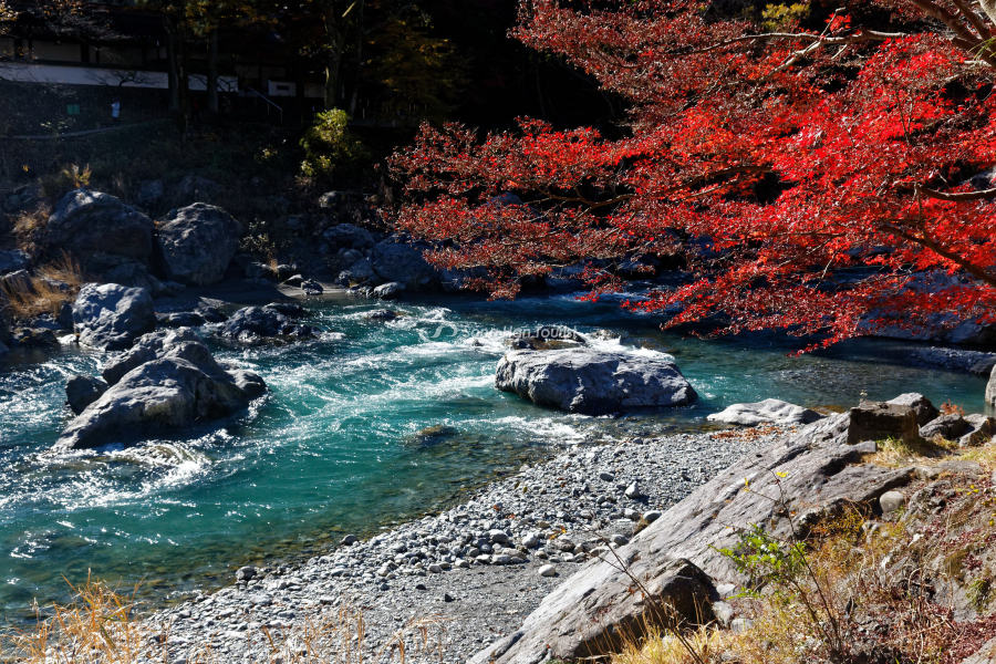 Hẻm núi Mitake với màu nước đối lập màu mùa thu