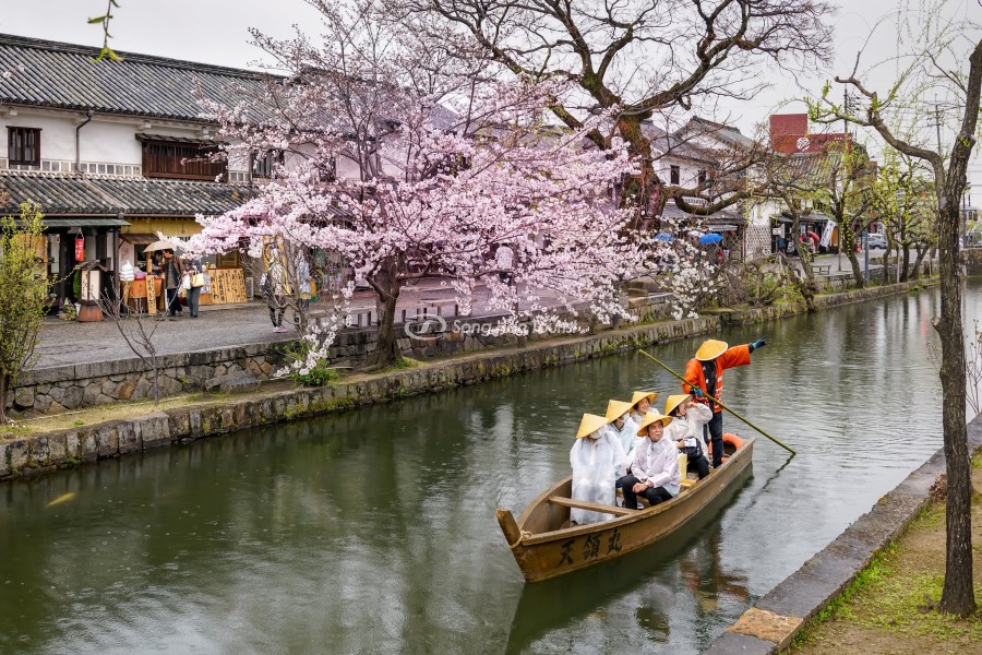 Kênh đào ở Kurashiki là địa điểm ngắm hoa anh đào độc đáo khi du lịch Nhật Bản. (Nguồn: Internet)