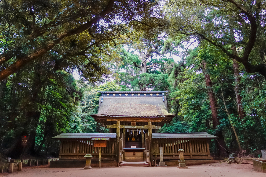Khách du lịch Nhật Bản đến thăm và cầu nguyện tại Kashima Jingu (Nguồn: PixPot)