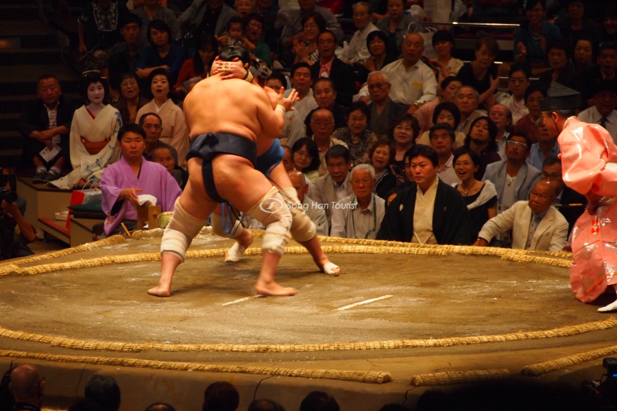 Khám phá Nhật Bản qua trận đấu Sumo truyền thống