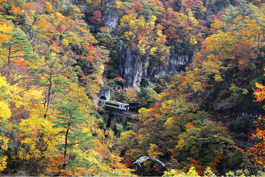 Không gian thiên nhiên mùa thu tuyệt vời tại xứ Phù Tang