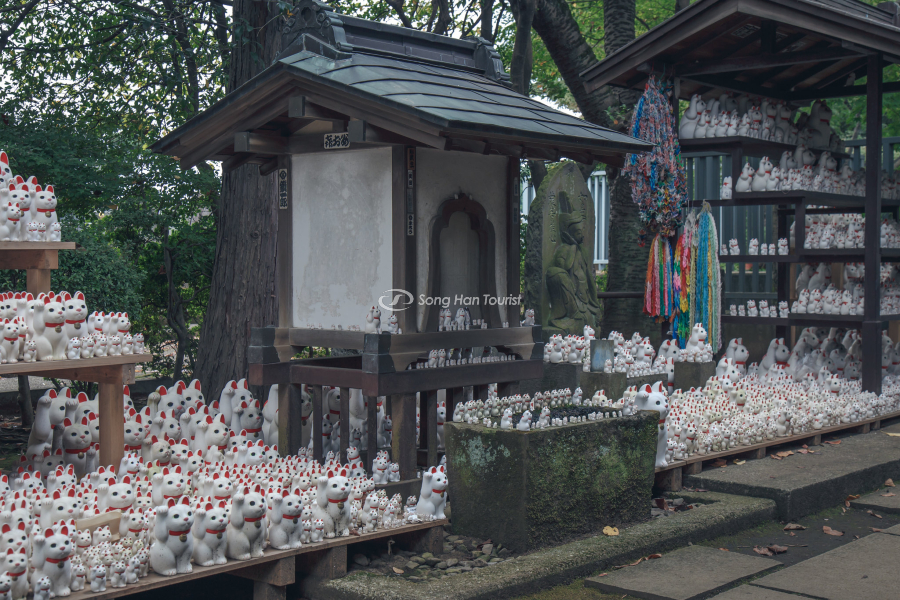 Khu vực trưng bày Maneki tại đền chùa ở Nhật 
