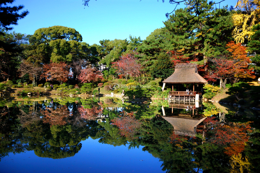Khu vườn Nhật Bản đẹp vẹn nguyên ngày thu