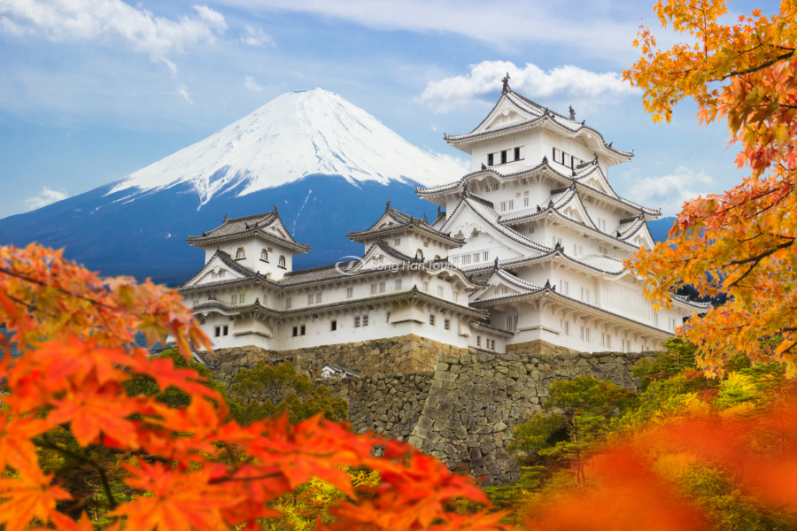 Khung cảnh tuyệt diệu của nước Nhật vào mùa thu