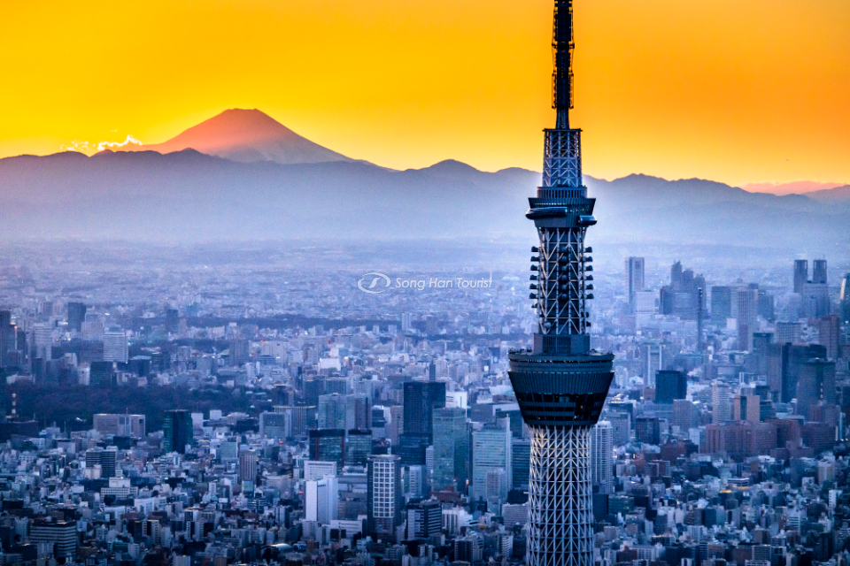 Khung cảnh tuyệt vời với hình tượng tháp Tokyo Skytree