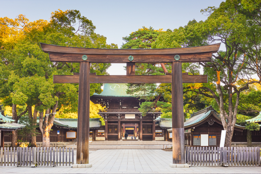 Kiến trúc đặc biệt của đền Meiji 