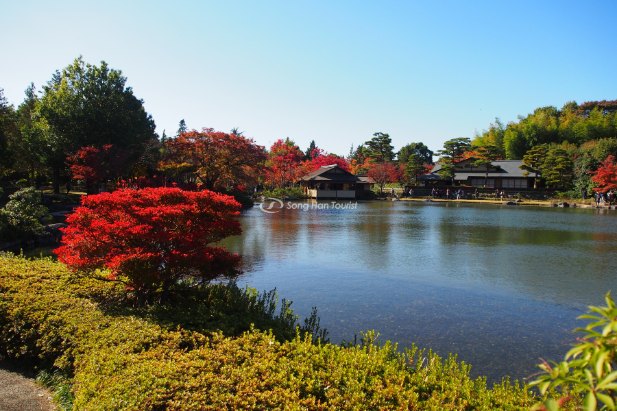 Kiến trúc Nhật Bản thể hiện đặc sắc tại công viên Showa Kinen 