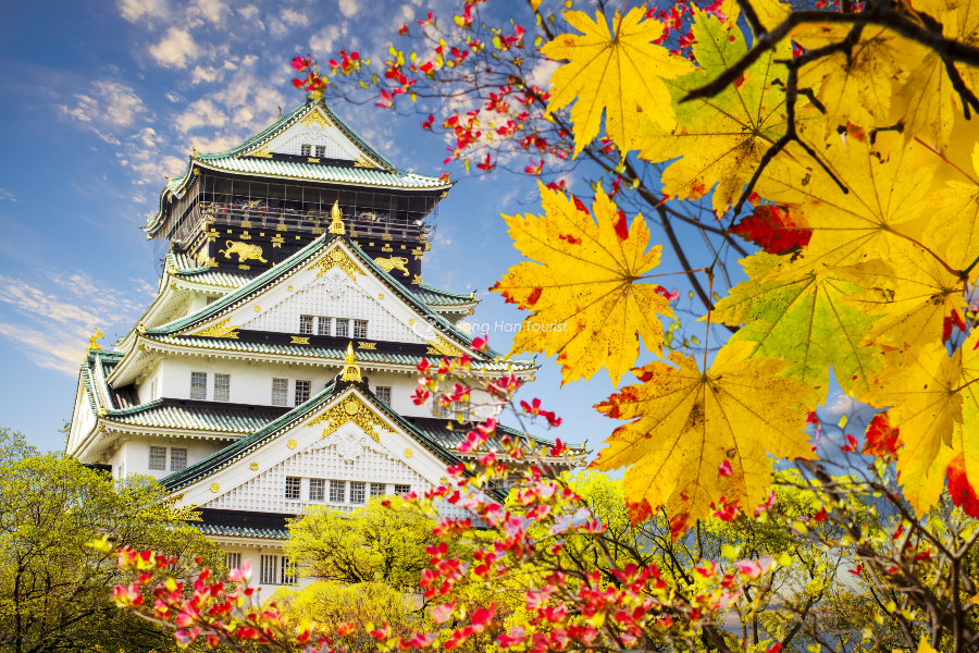 Lâu đài Osaka mùa thu hoành tráng 