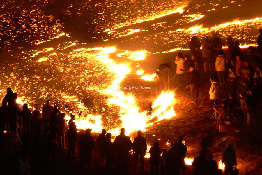 Lễ hội Nhật Bản Oto Fire Matsuri 