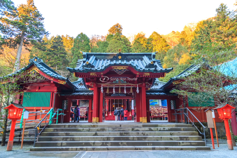 Màu đỏ rực rỡ tại đền Hakone 