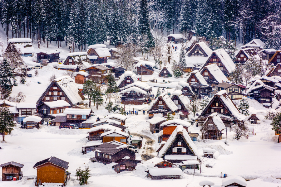 Một trong những nơi đáng đến nhất vào mùa đông Nhật Bản 