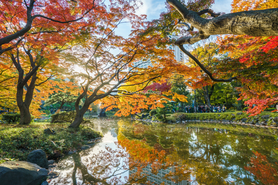 Mùa thu ở Tokyo 