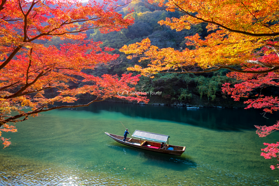 Mùa thu tại Nhật với khung cảnh rực rỡ nhưng không kém yên bình 