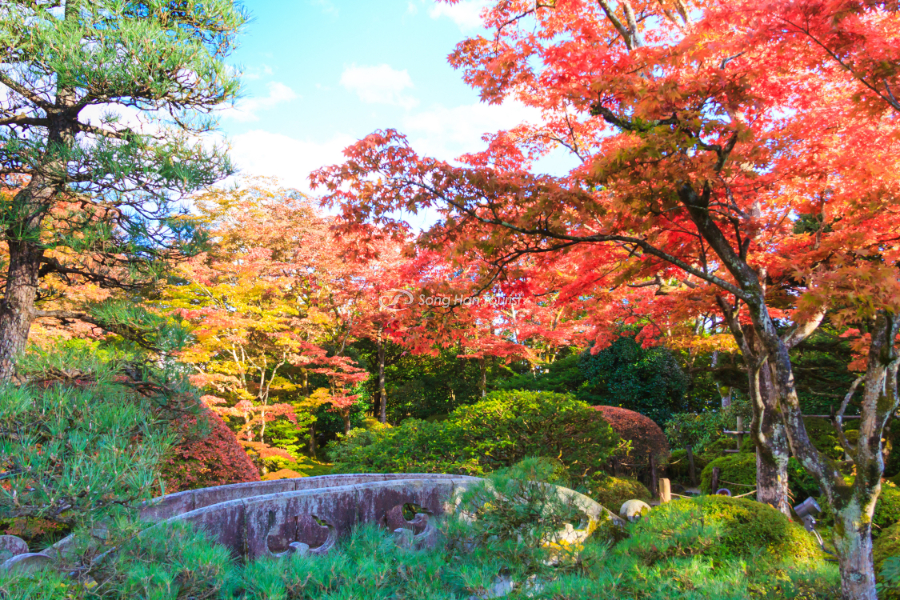 Mùa thu - thời điểm vàng để đến Nikko 