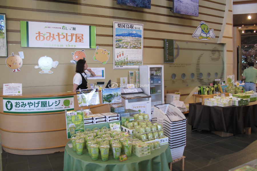 Nếu bạn phân vân mua gì khi du lịch Nhật Bản, vậy sao không chọn lê Tottori?