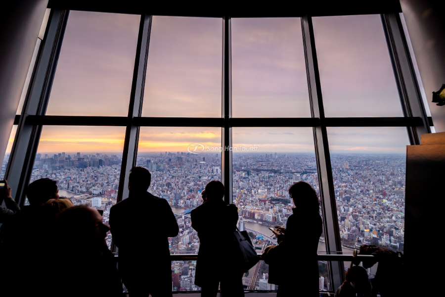  Watch the sunset at the most massive tower of Japanese tourism